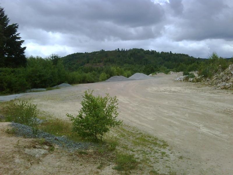 IMG00101-20090706-1314.jpg