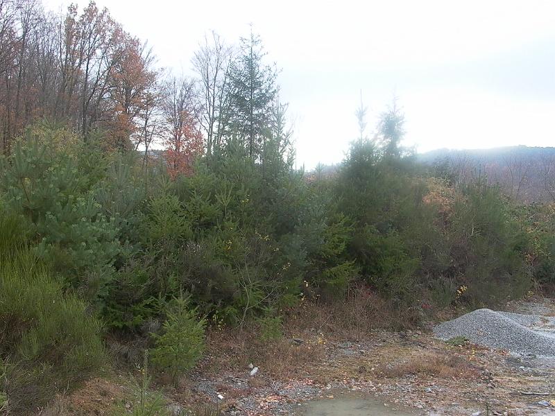 P1050719.JPG