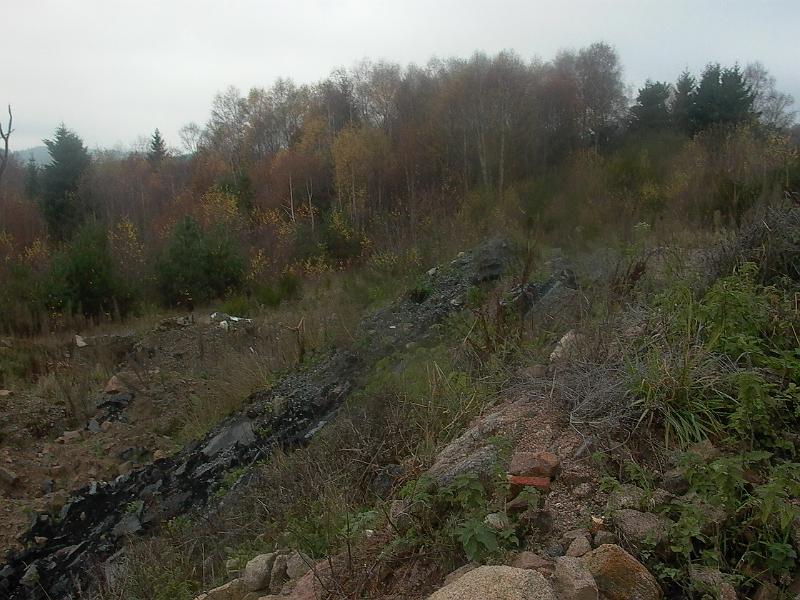 P1050724.JPG