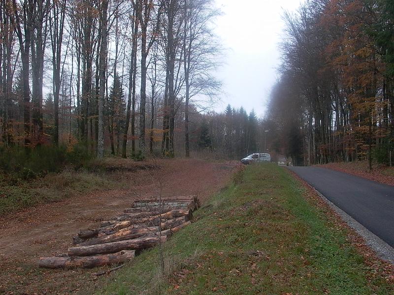 P1050729.JPG