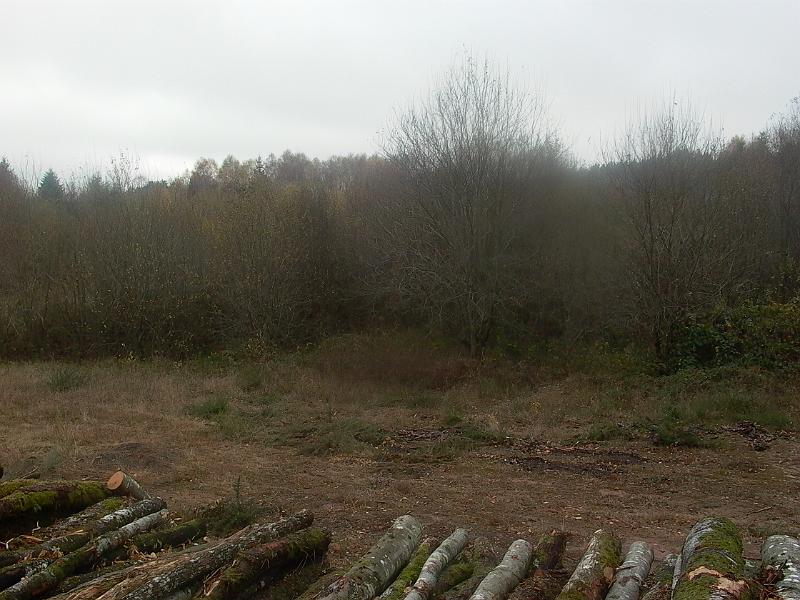 P1050732.JPG
