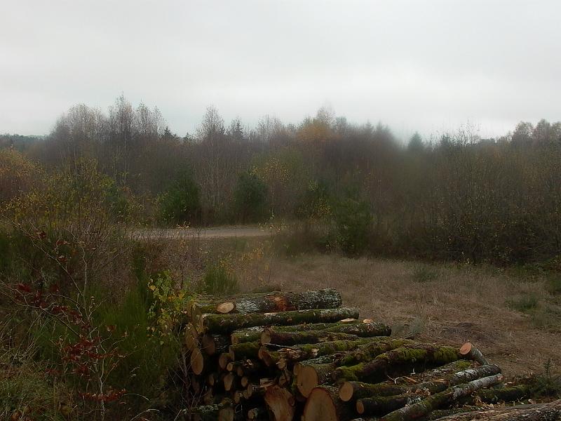 P1050733.JPG