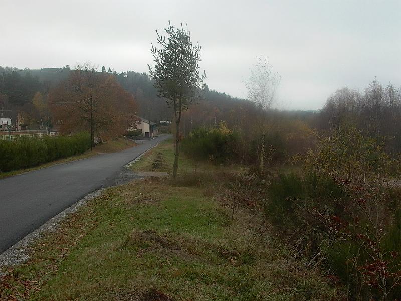 P1050734.JPG