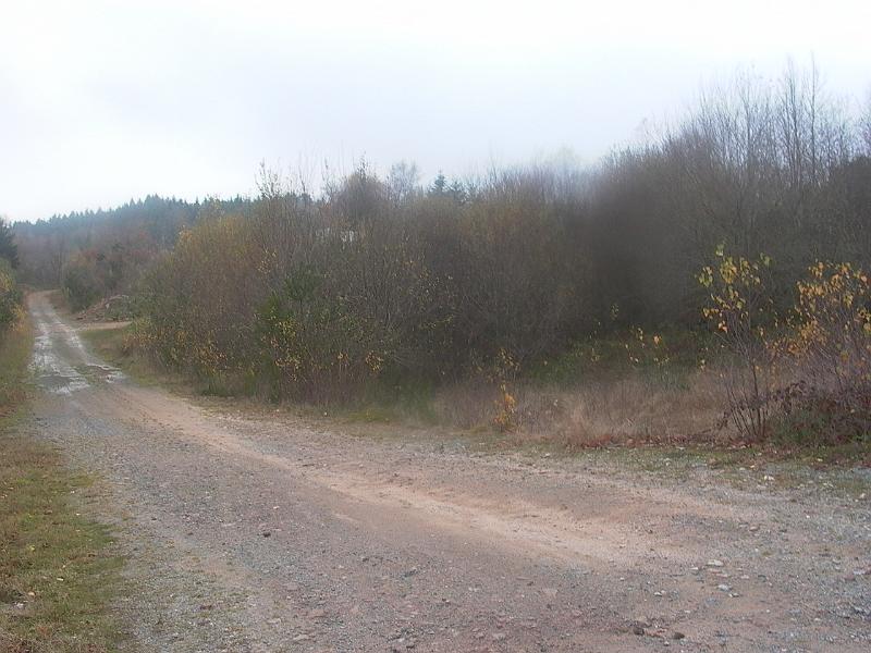 P1050735.JPG