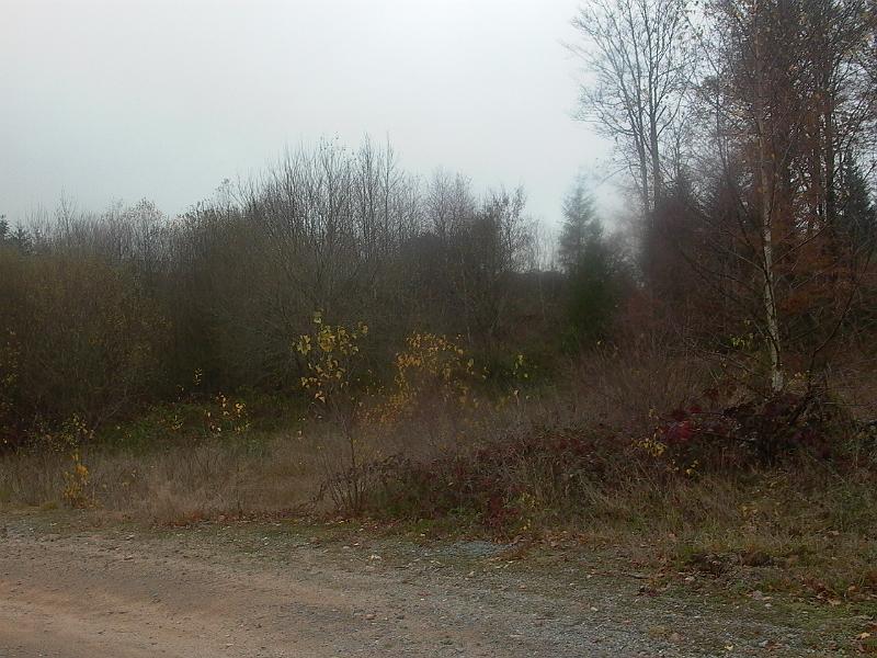 P1050736.JPG