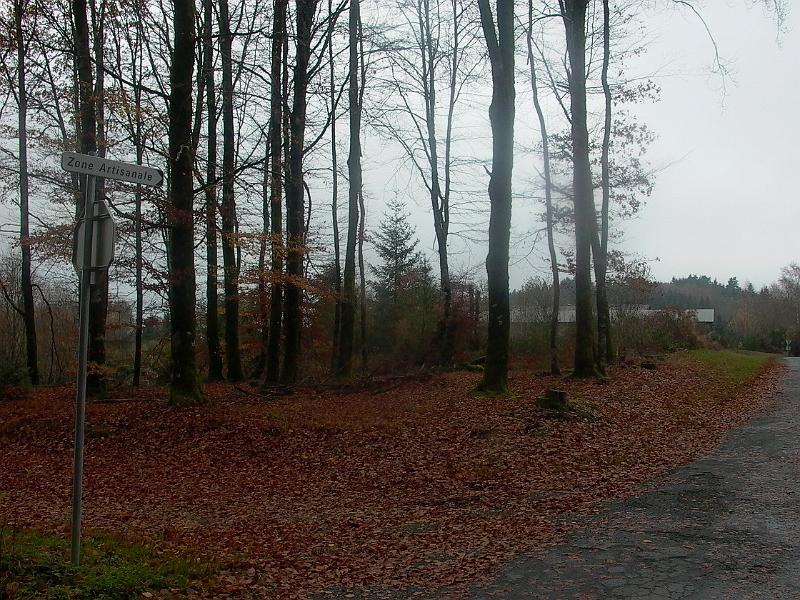 P1050739.JPG